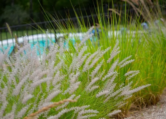Le Manoir Des Hauts De Chaunac